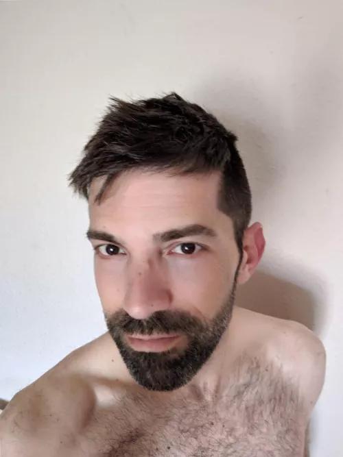 Messy bed hair by angrywolf74