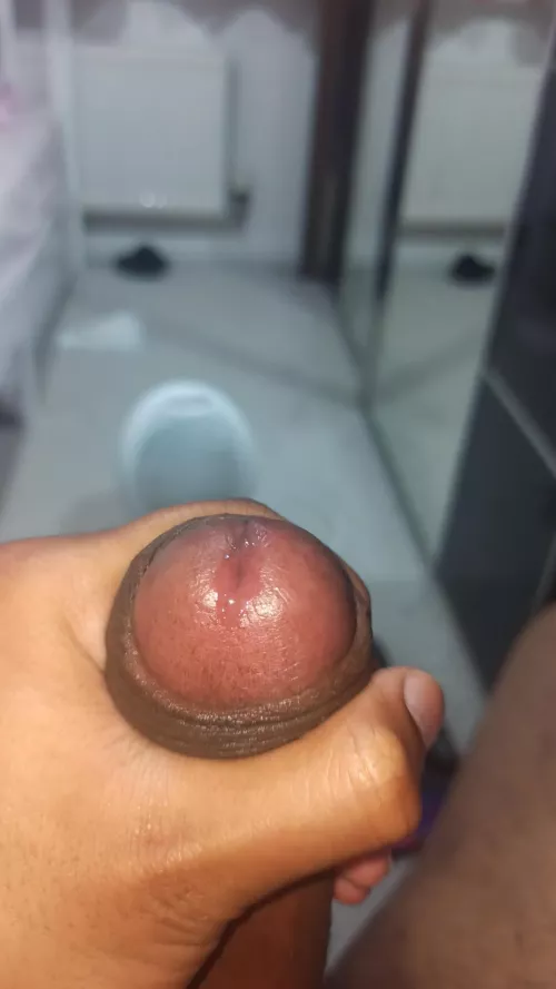 Precum on hard brown cock by johnlikescola