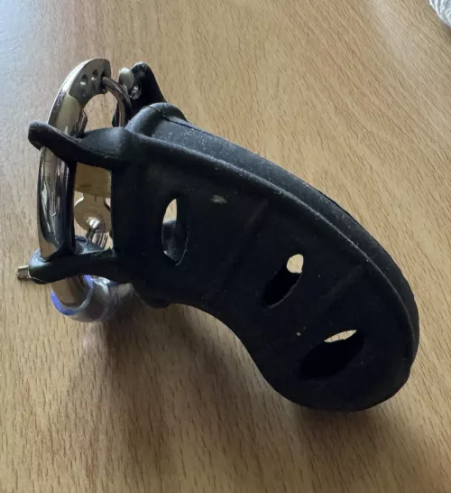 Question  by Inside_Penalty_566