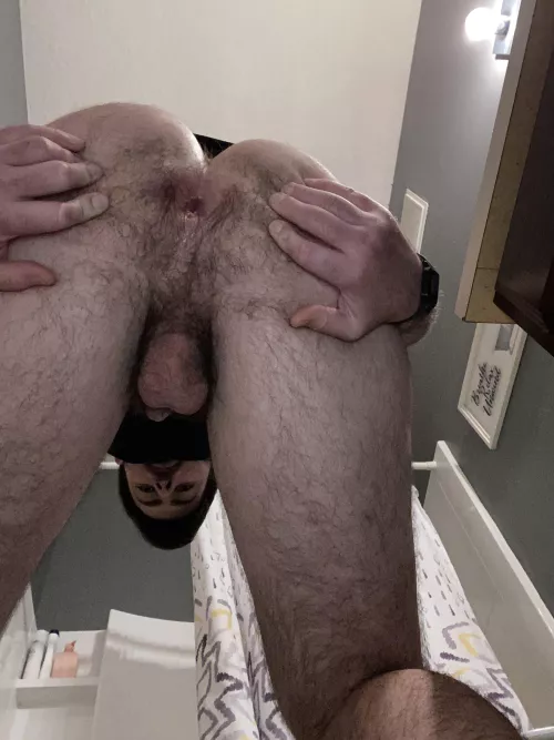 Spread wide to show off all the hair  by King_Mattx