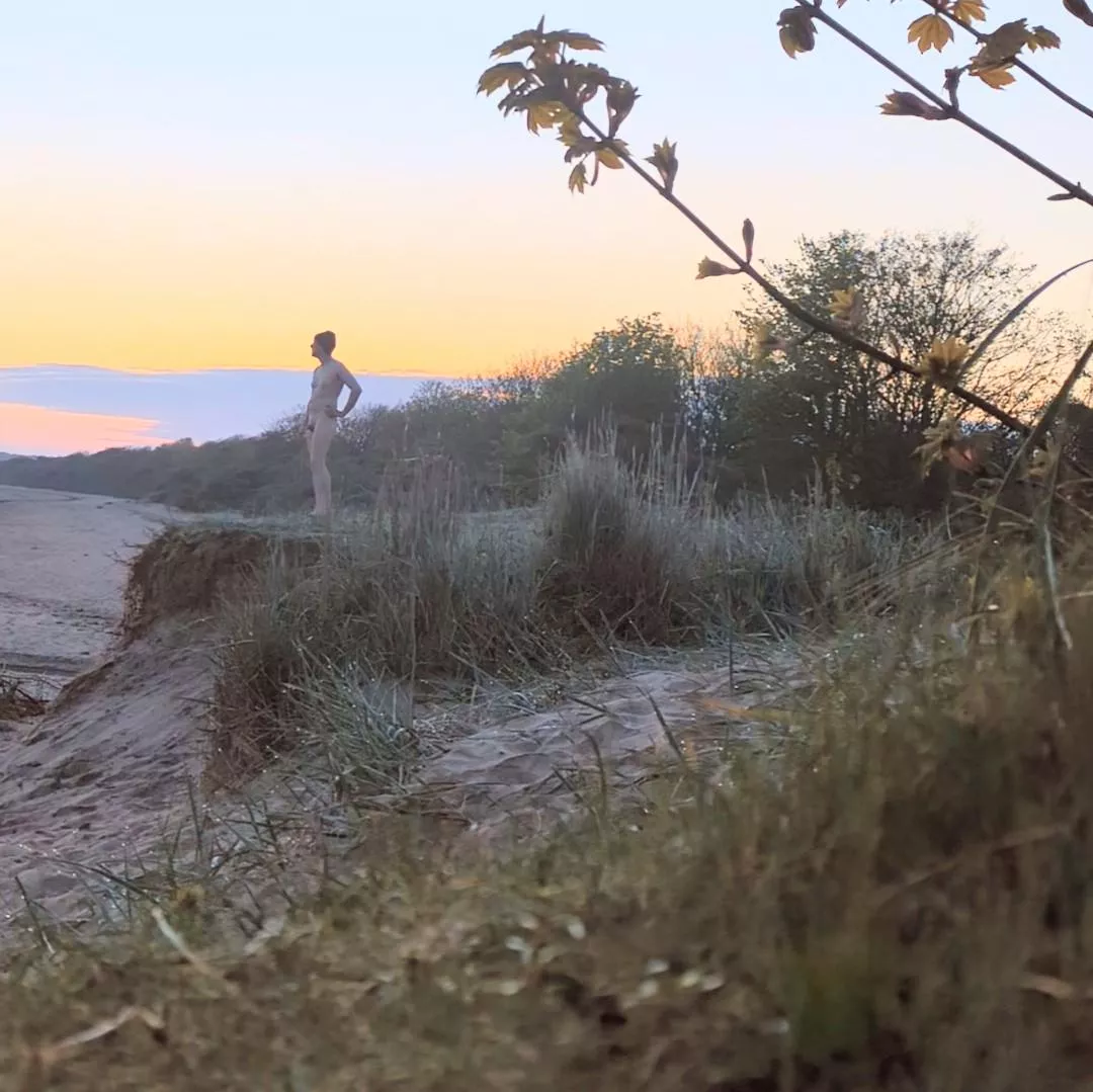 The dawn of summer posted by Immediate-attitude