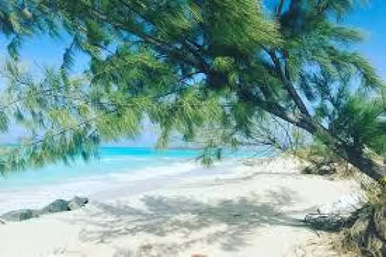 The fresh air of a beach. by lkevin710