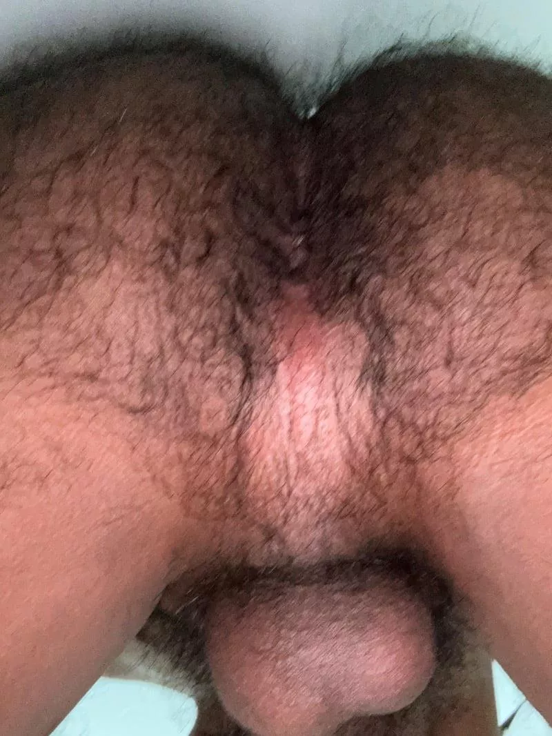 Think I’m hairy enough posted by gay-fur