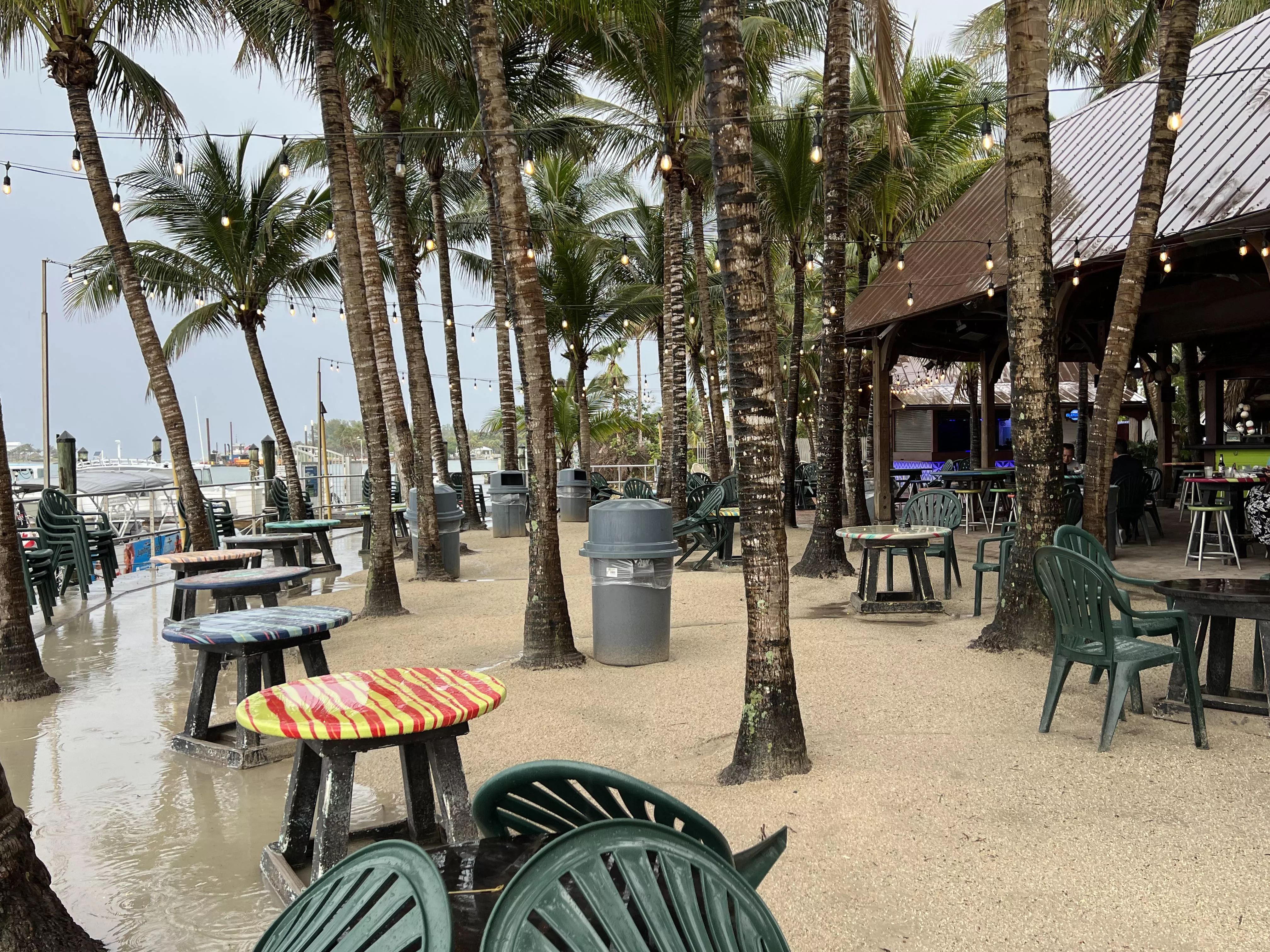 Tiki Bar Square Grouper after the rain! posted by Realmeg1