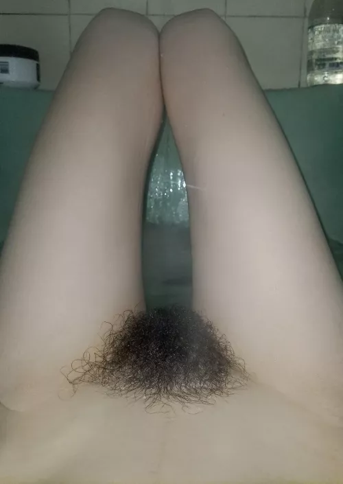 try to tame this wild bush by ohyesClara