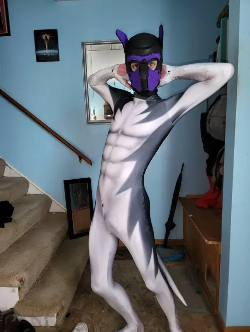 Waited almost five months, but my petsuit finally arrived by Bigfan521