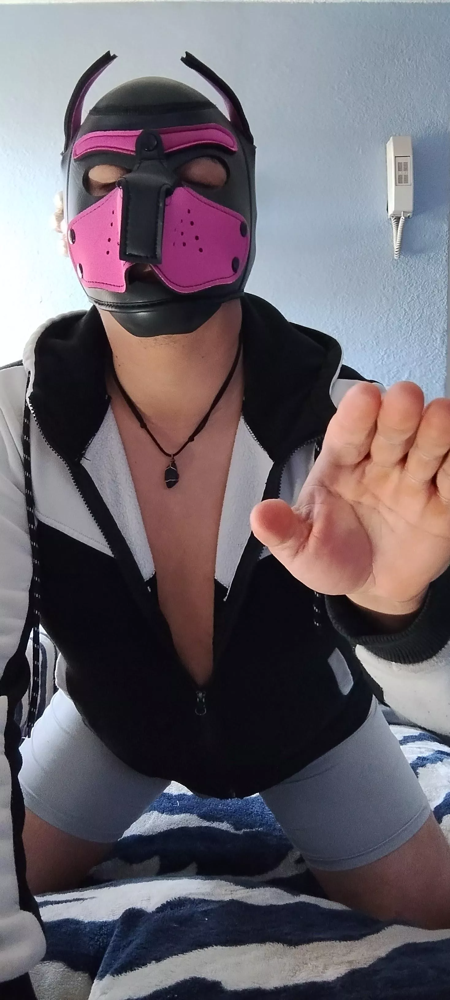 awrooooooooo! 🐾🐶 What was the color of your first pup mask?  posted by Omarcito69