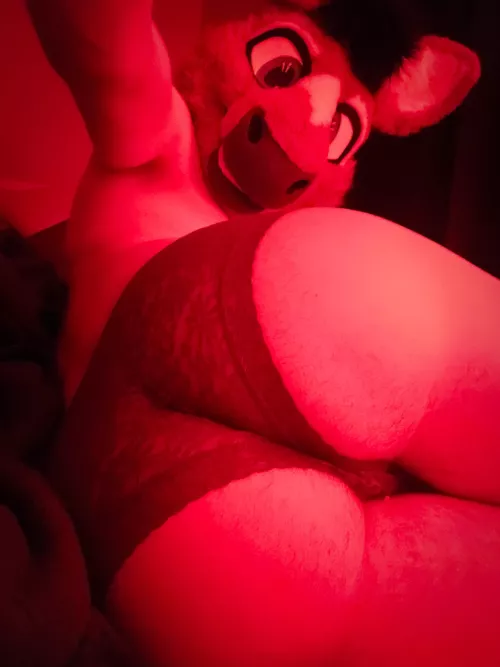 constantly in need of cuddles ;) by WillowHorseAD