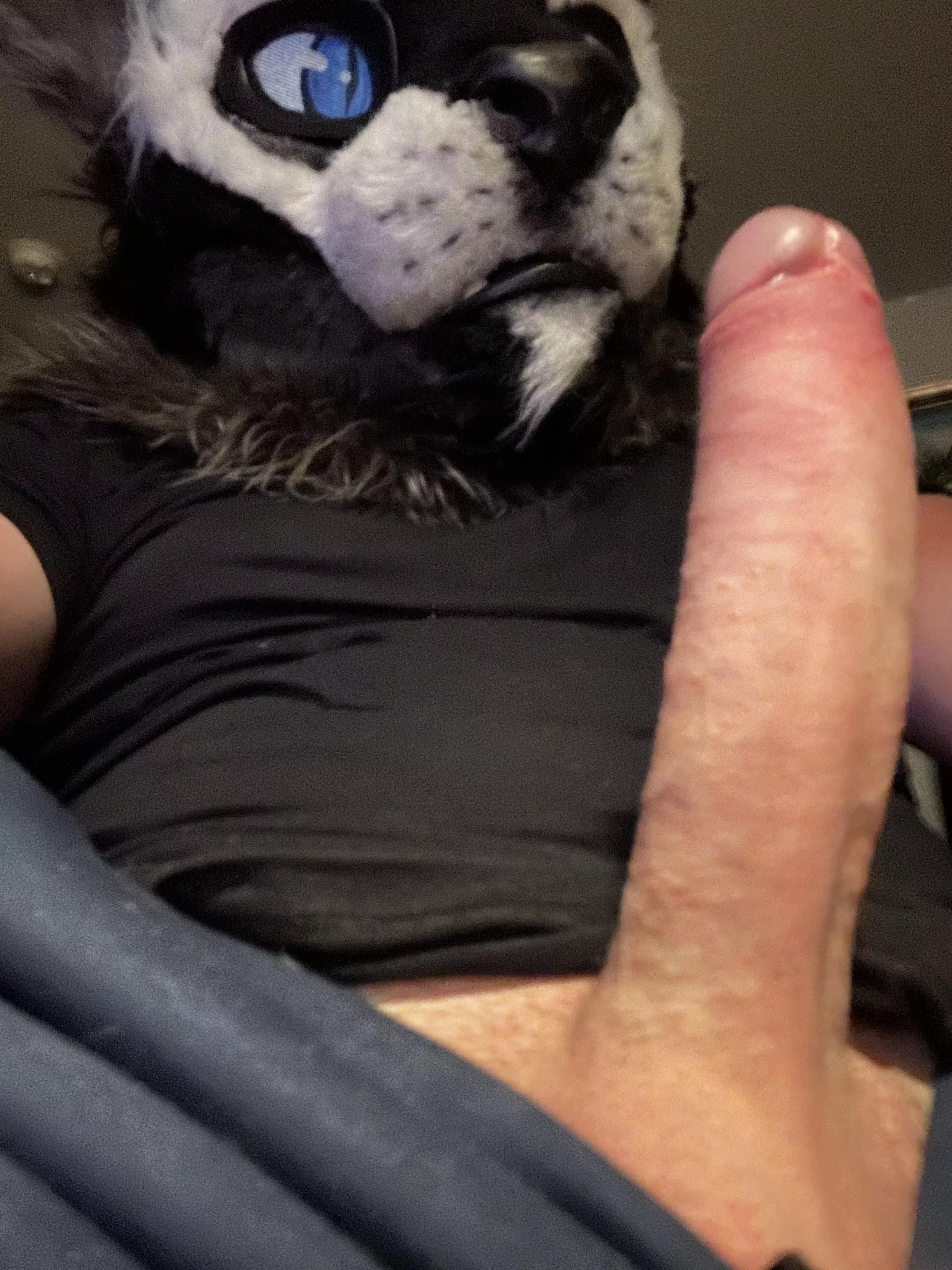 Don’t keep this kitty waiting~ [M] posted by Wolfonoodz
