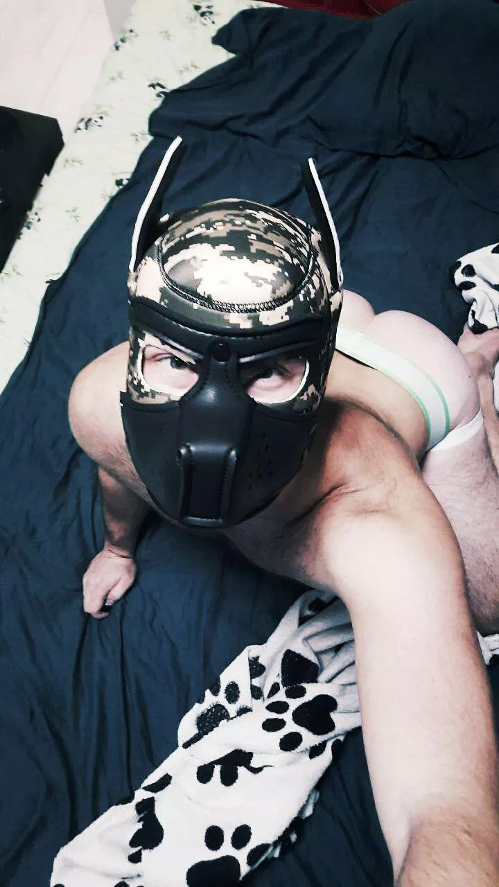 Feeling Horny Today posted by Civil_Treat_6700