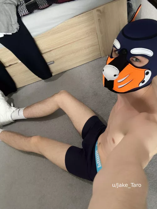 felt cute and submissive :3 by Jake_Taro