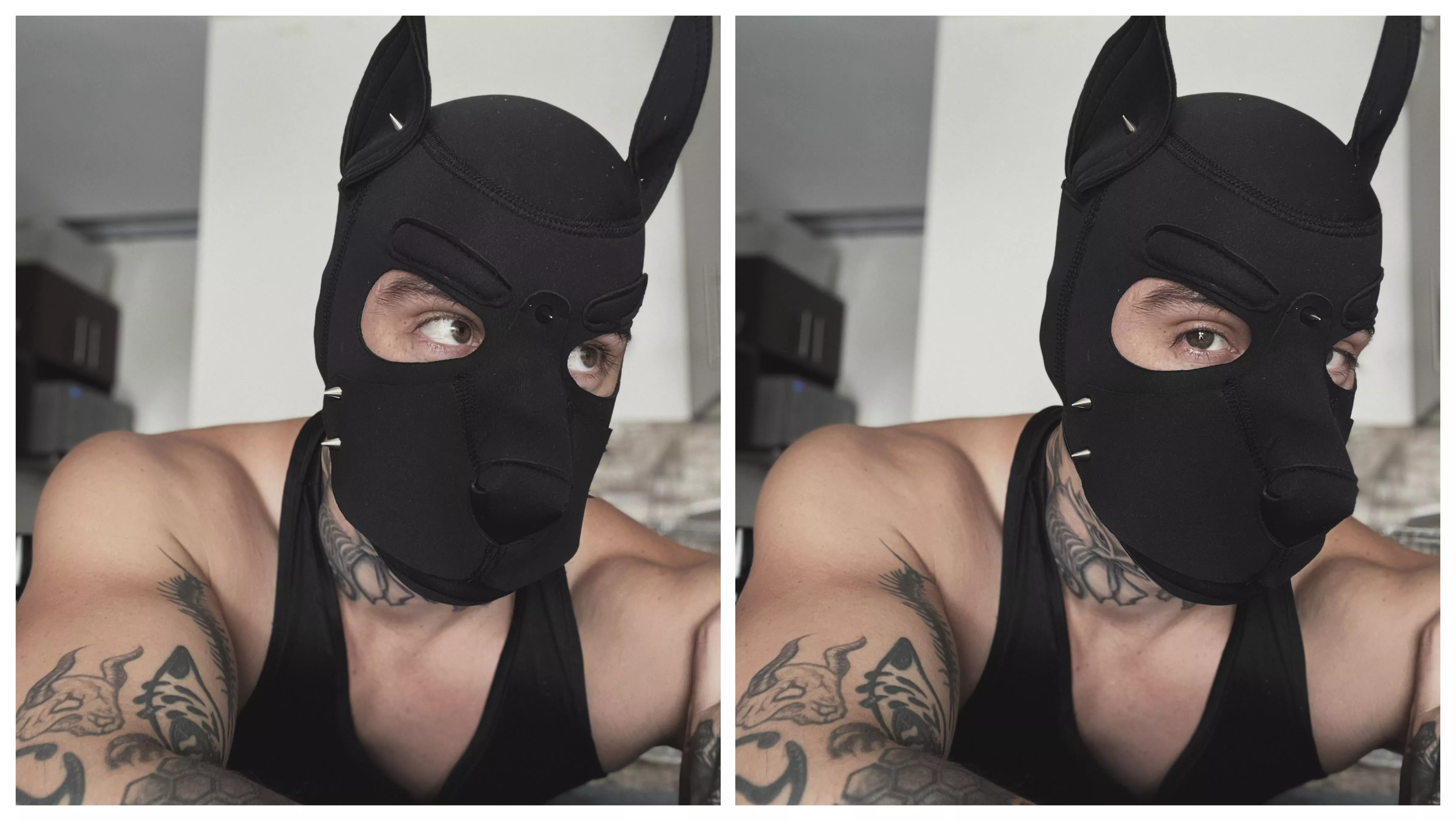 i just finished my pup mask ☺️🐾🫡 posted by riccimorx