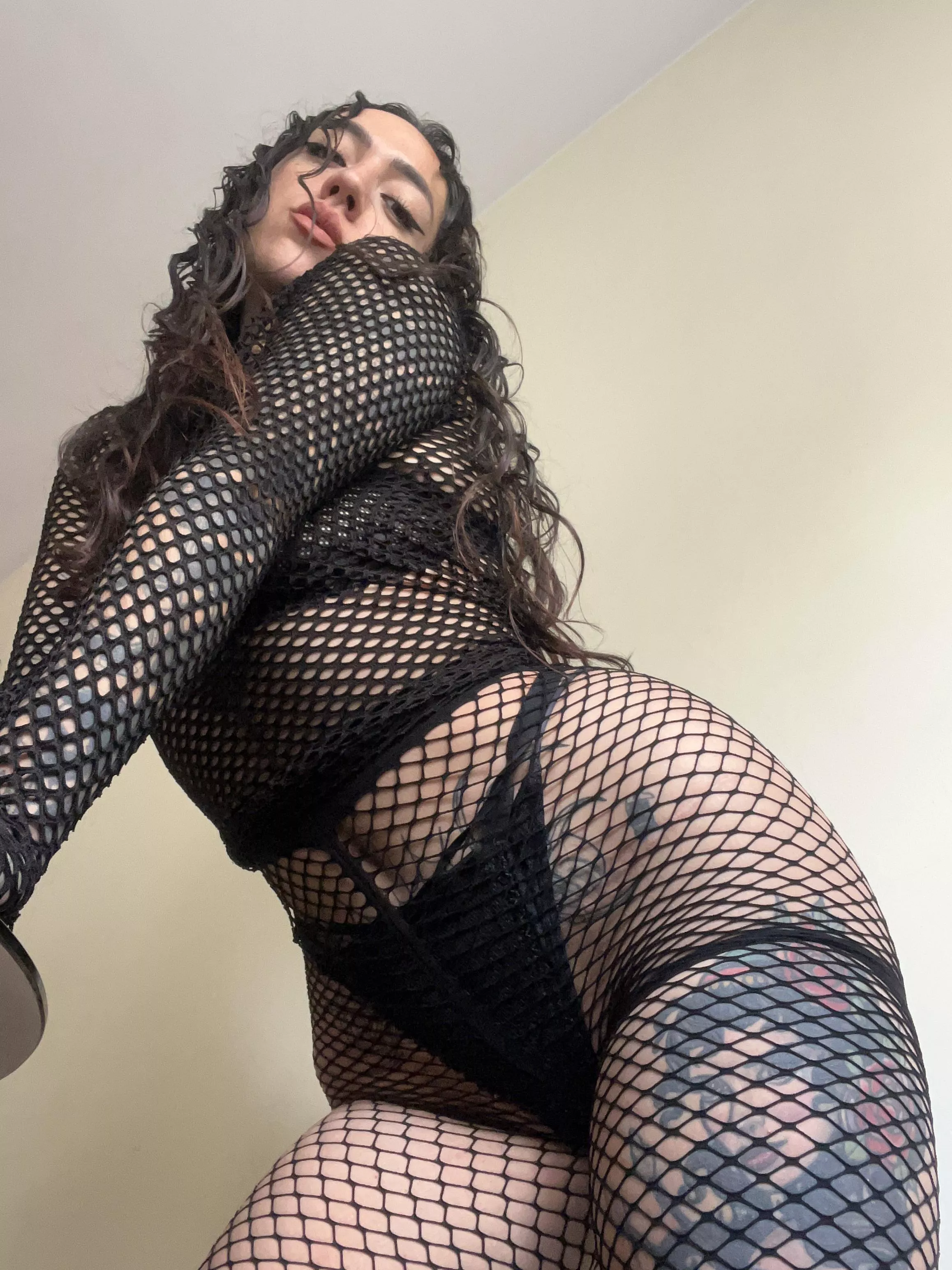 Many latin curves between nets  posted by Dommefoxy