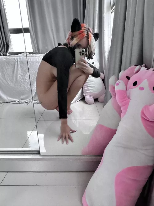 ninja cat by MargoKuzina