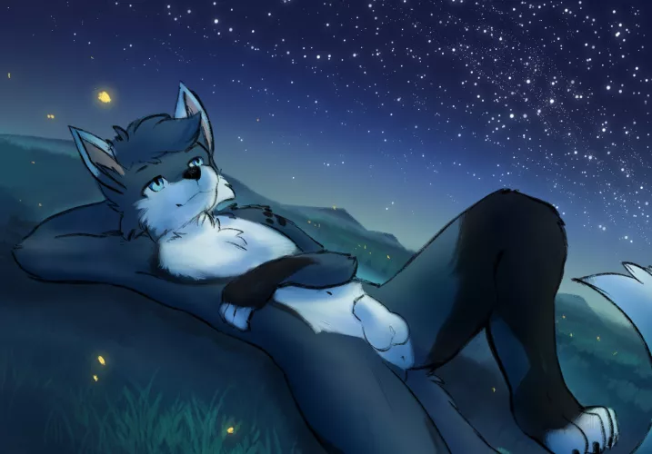 
(PATREON REWARD) Starry Sky @Stampmats by StampmatS