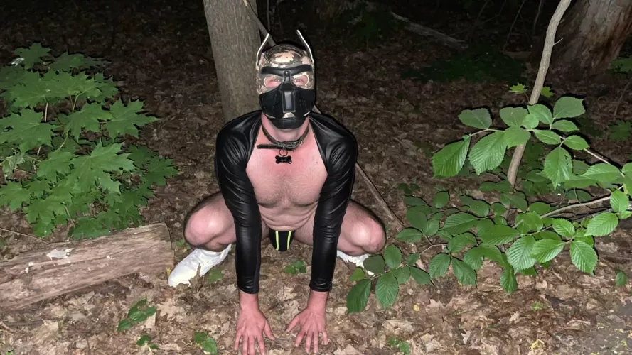 Puppy in the woods waiting for the bone by Civil_Treat_6700