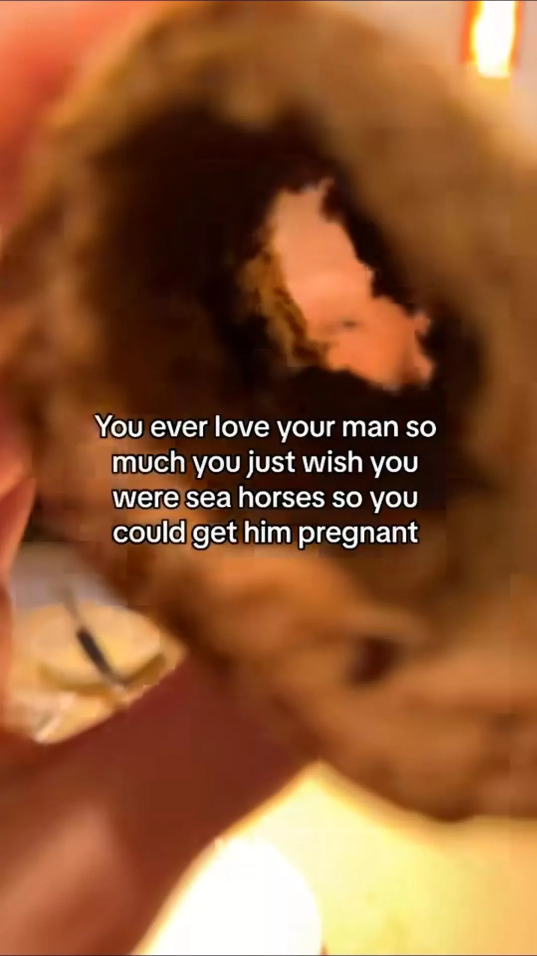 Sea-Horsing Around posted by -SecretAltAccount-