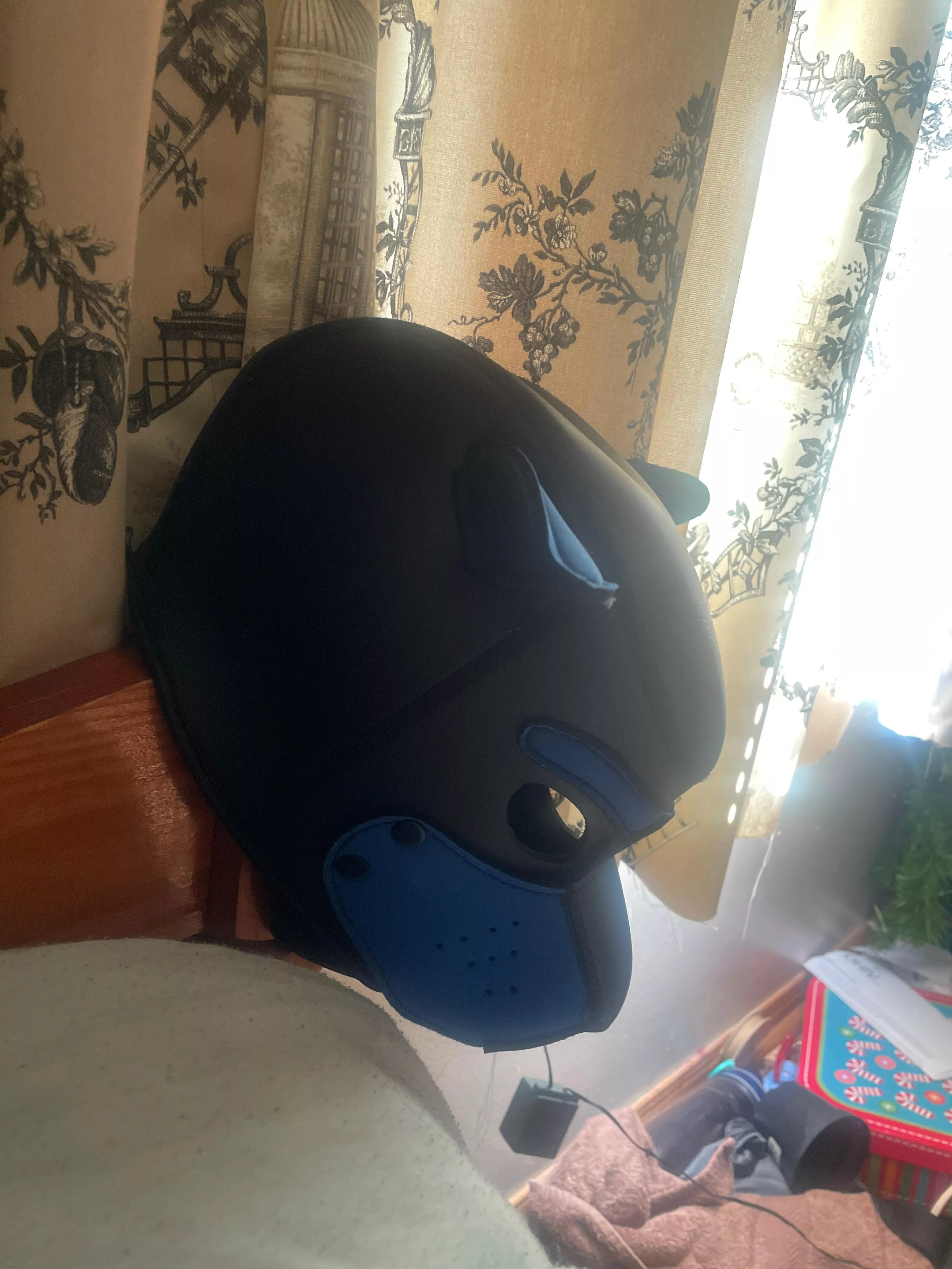 The call of the wild posted by SuccessfulSorbet9450