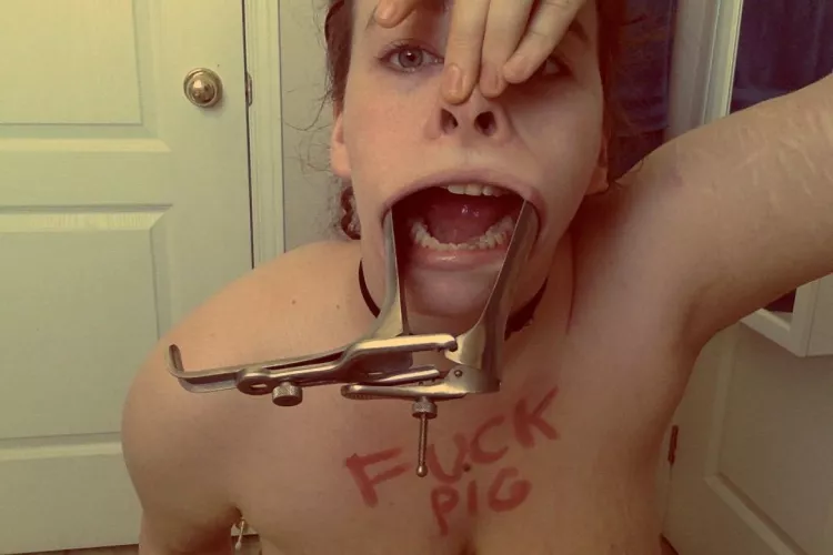 The dangers of the 24 hour Fuckpig challenge. by UnsualAlice