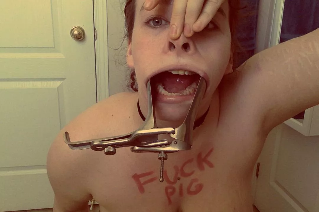 The dangers of the 24 hour Fuckpig challenge. posted by UnsualAlice