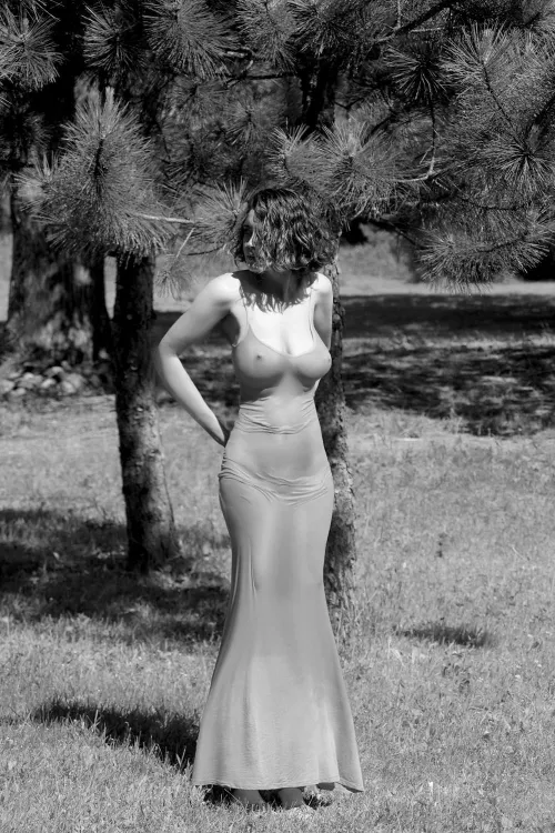 The gown by Nearby2902