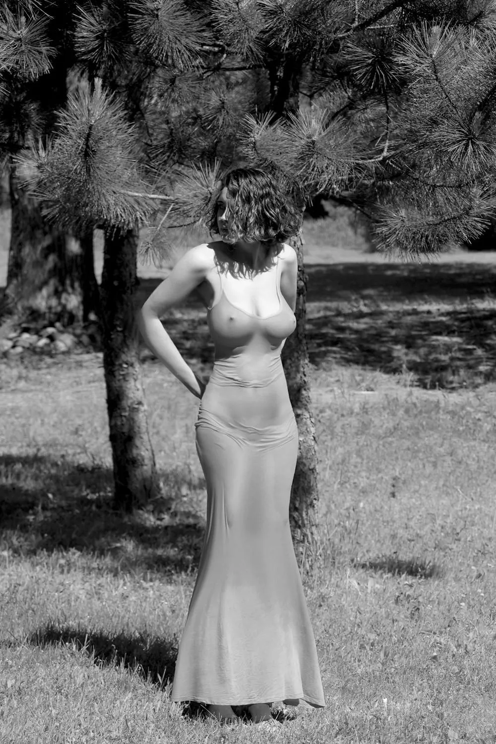 The gown posted by Nearby2902