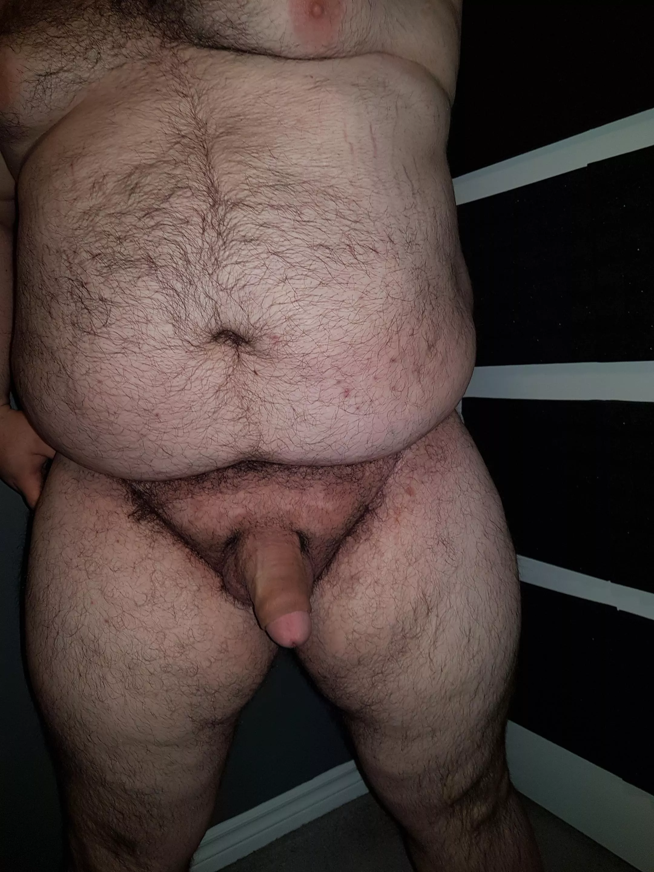 What do you think? posted by BioOwl