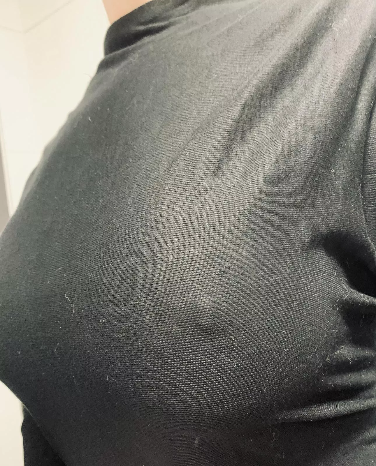 Yes I have a cat. Yes I hate wearing a bra  posted by Andreaoneonone