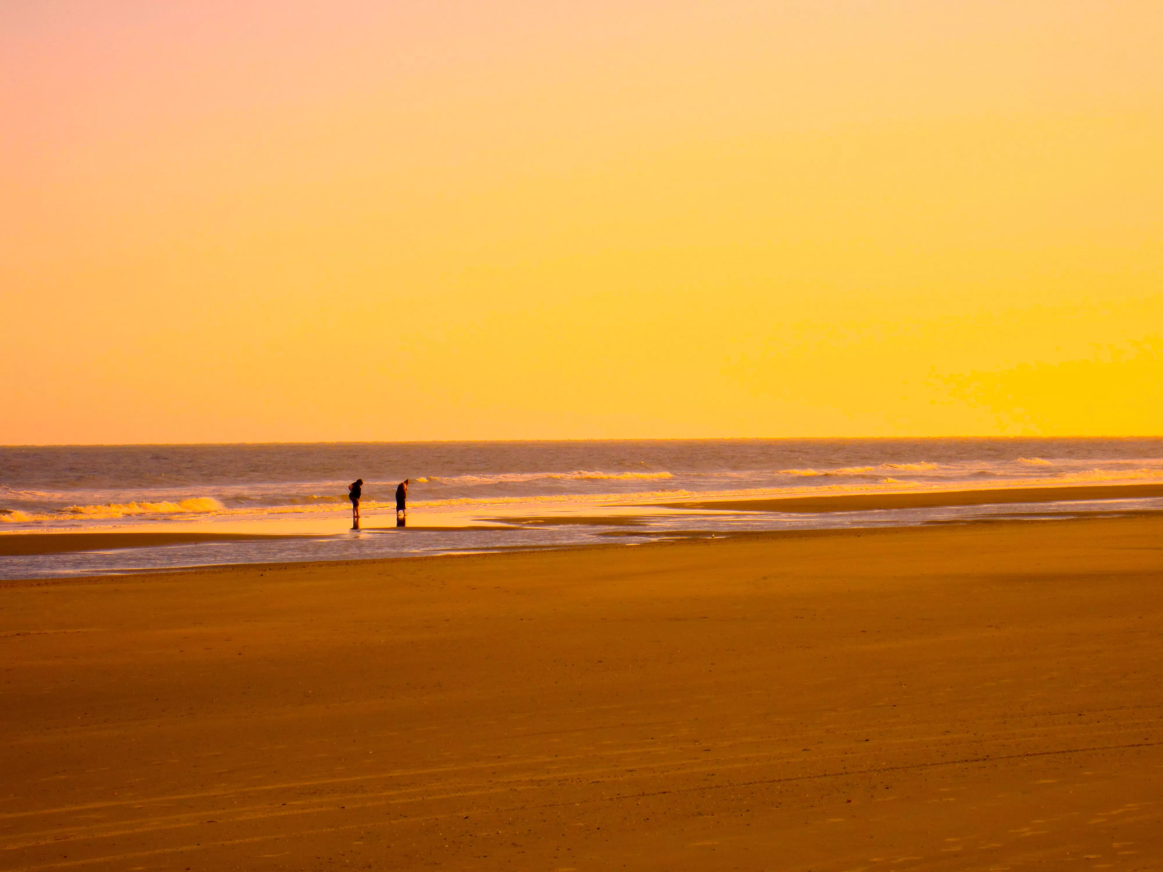 Golden Eve at Isle of Palms posted by 11Catalina