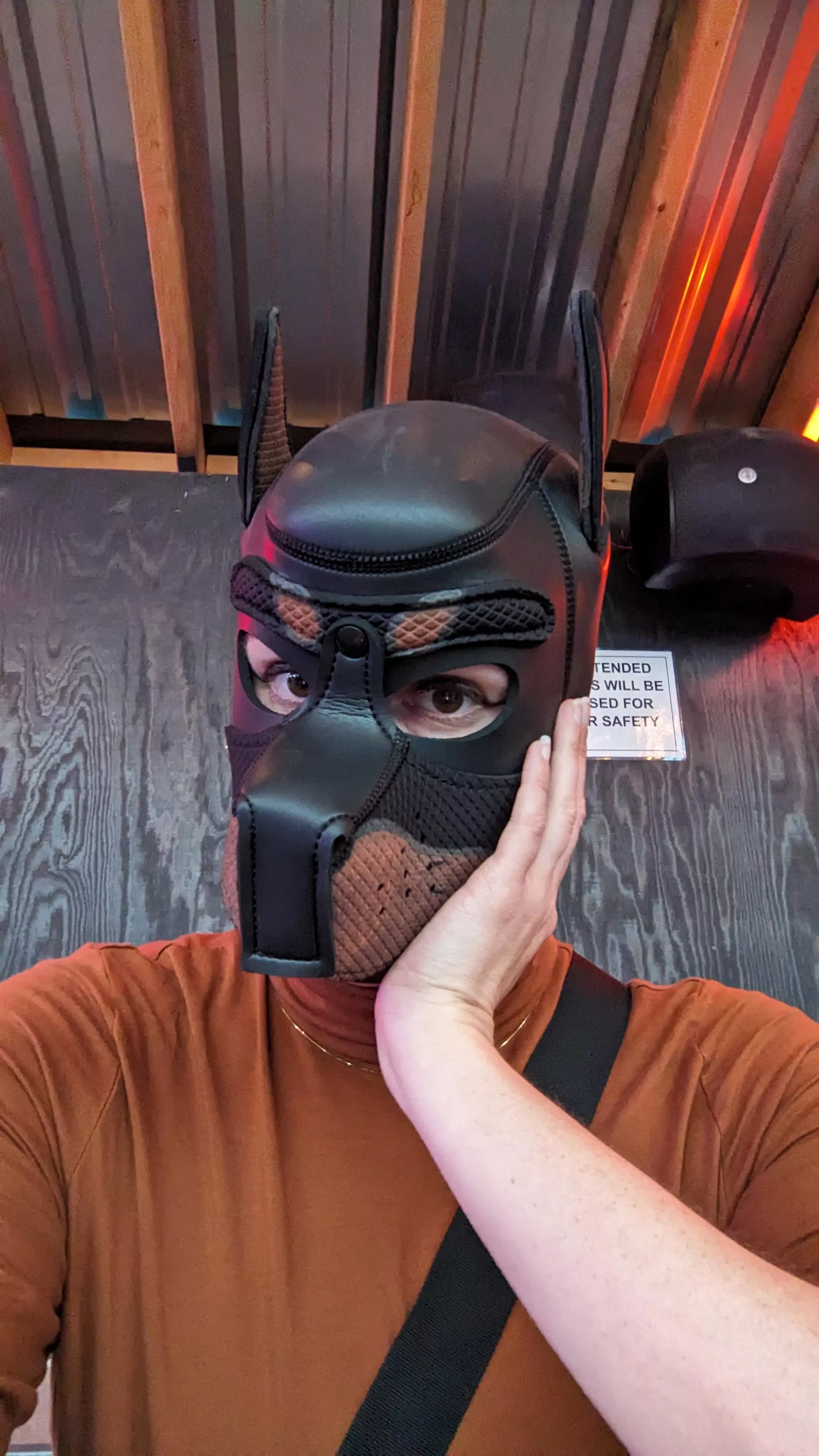 Have you heard the bark with the highest pitch? Pup Satin's off leash – that's me, your bitch! 🐶💕 Suspend all your fright 'cause good girls 👉🏼never👈🏼 bite! posted by sensualskunk