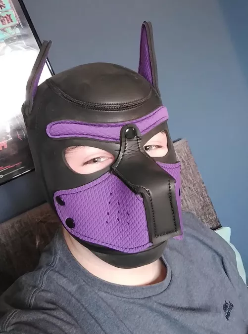 Hii all I just joined :3 by Ewaee_131