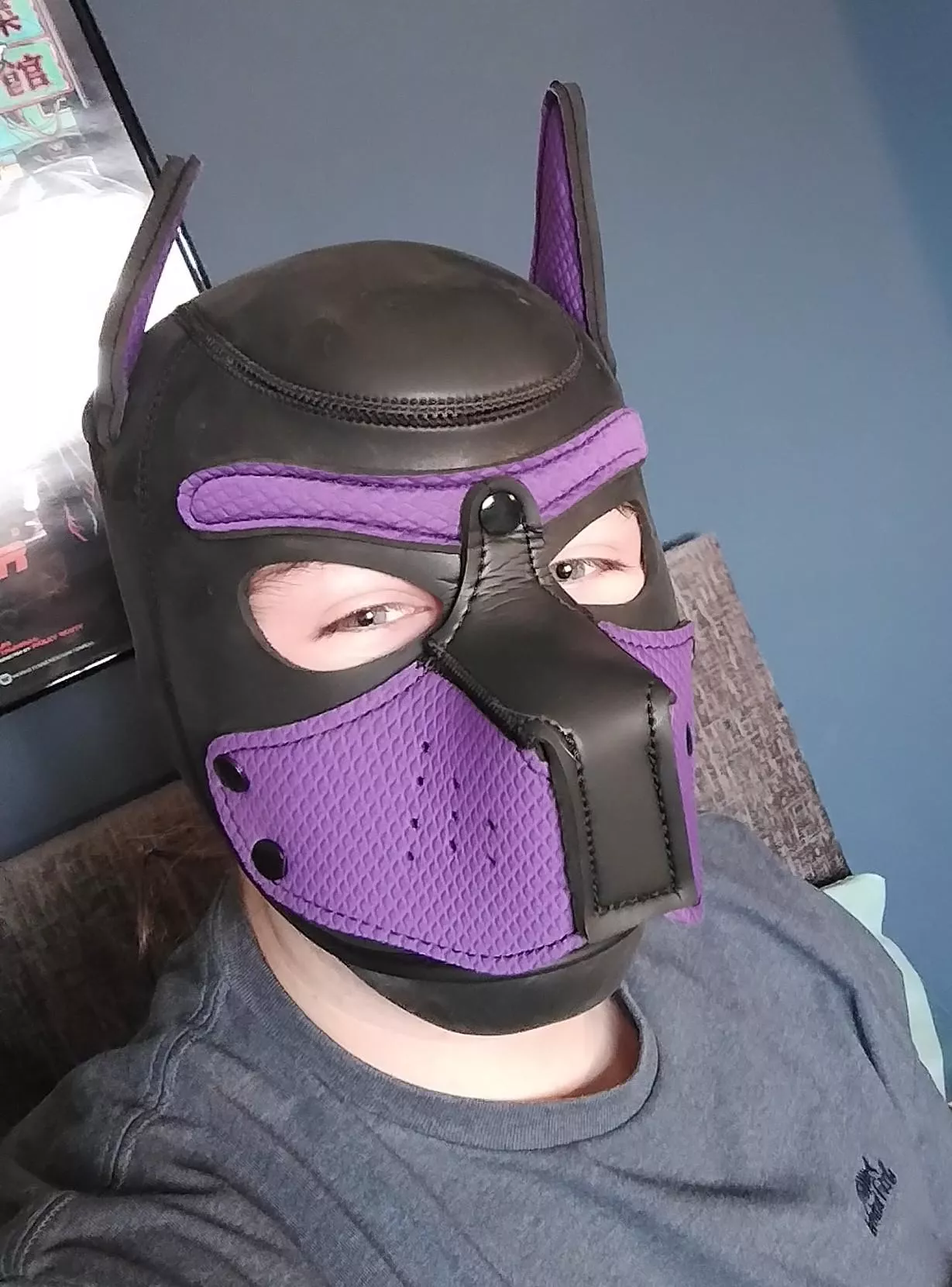 Hii all I just joined :3 posted by Ewaee_131