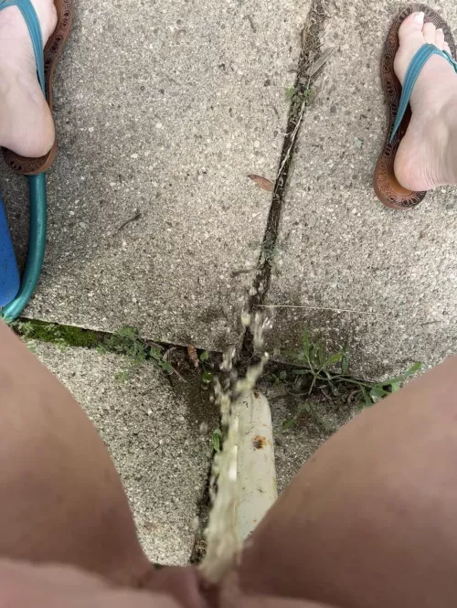 Hope my neighbors didn’t notice by PrincessPisse