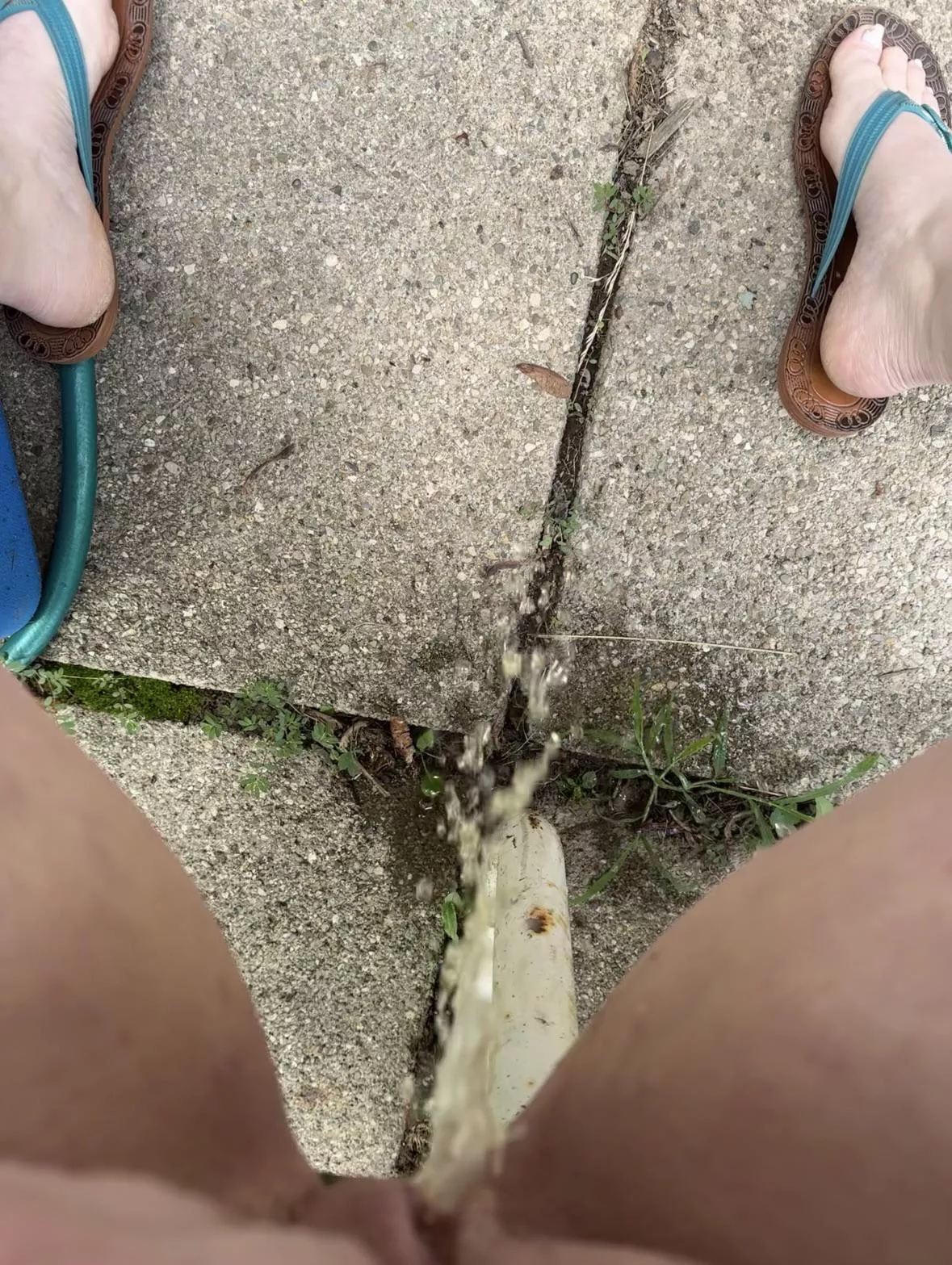 Hope my neighbors didn’t notice posted by PrincessPisse