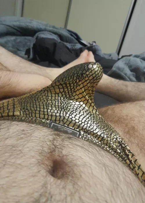 How's this gold thong look? (20) by RainbowDamo