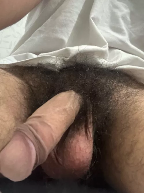 I’m considering shaving them. Any suggestions?  by Financial_Discount85