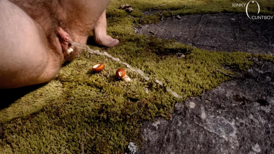 In the forest my big hairy cunt is pushing out mushrooms till it gives in and lets out piss by kinkycuntboy