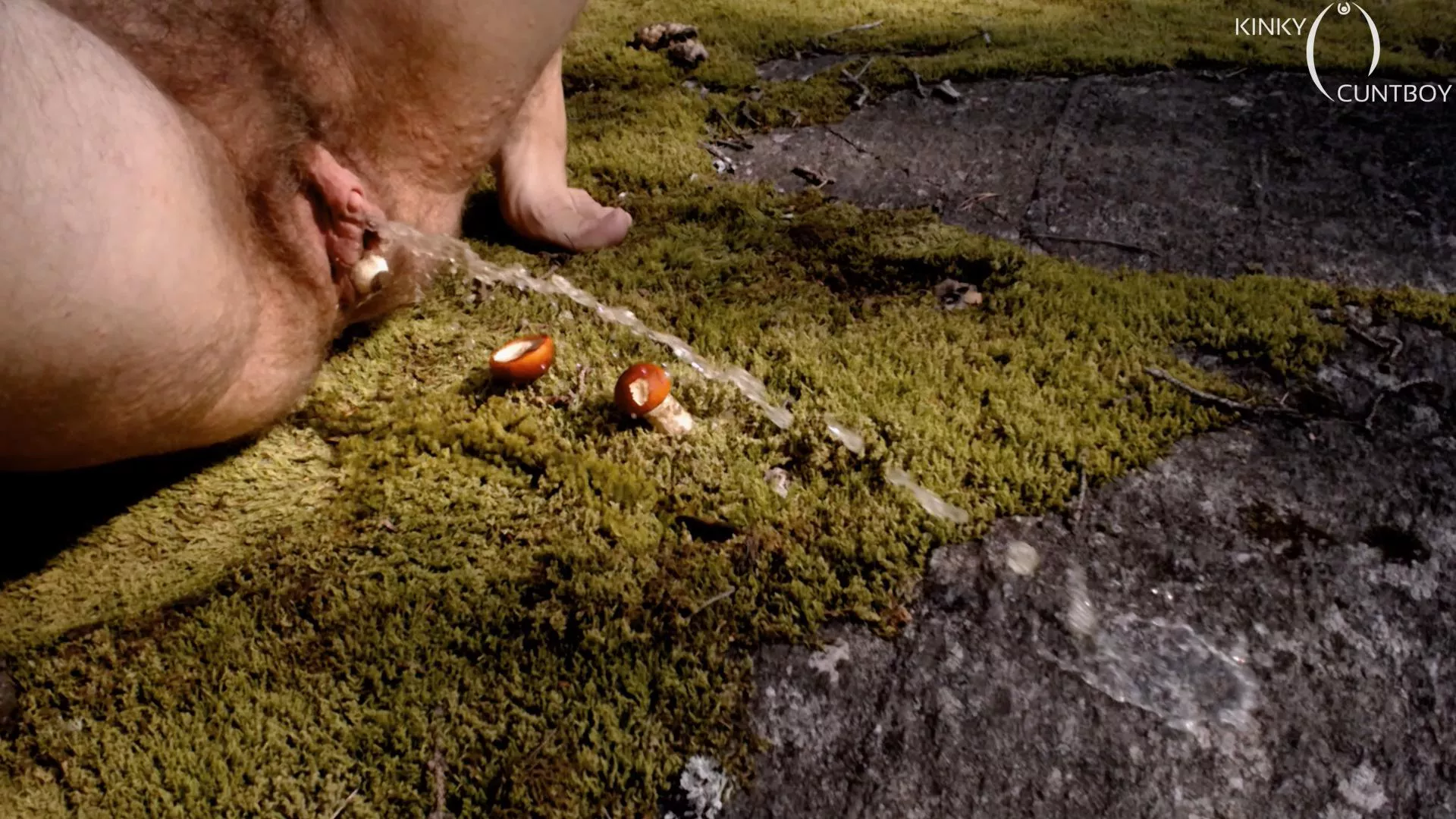 In the forest my big hairy cunt is pushing out mushrooms till it gives in and lets out piss posted by kinkycuntboy