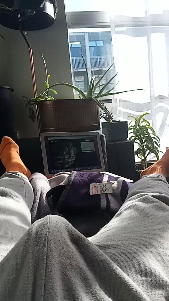 Like the view? posted by Front_Meeting_1725