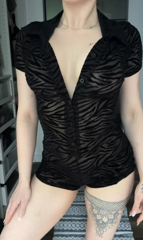 Meow  by kaylaroseab