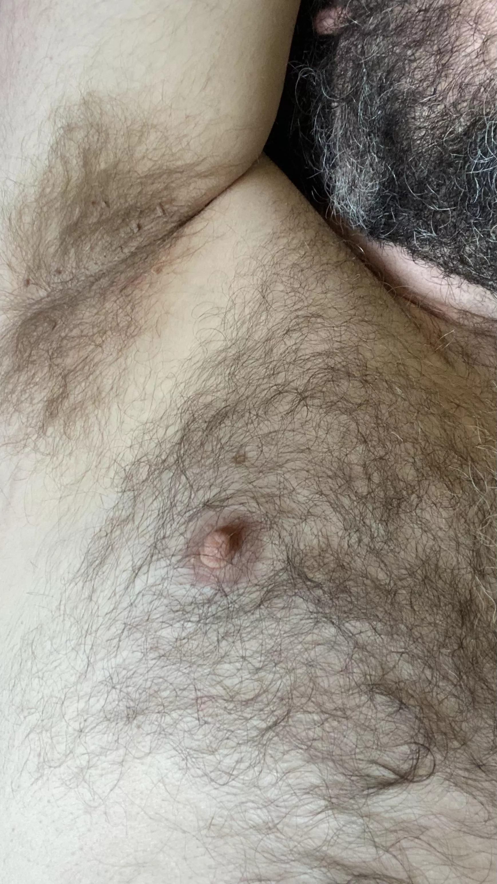 Pit Nip Beard posted by UncutHairyBear22