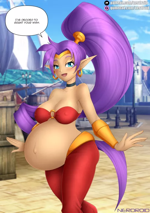 Pregnant Shantae by Ner-Droid