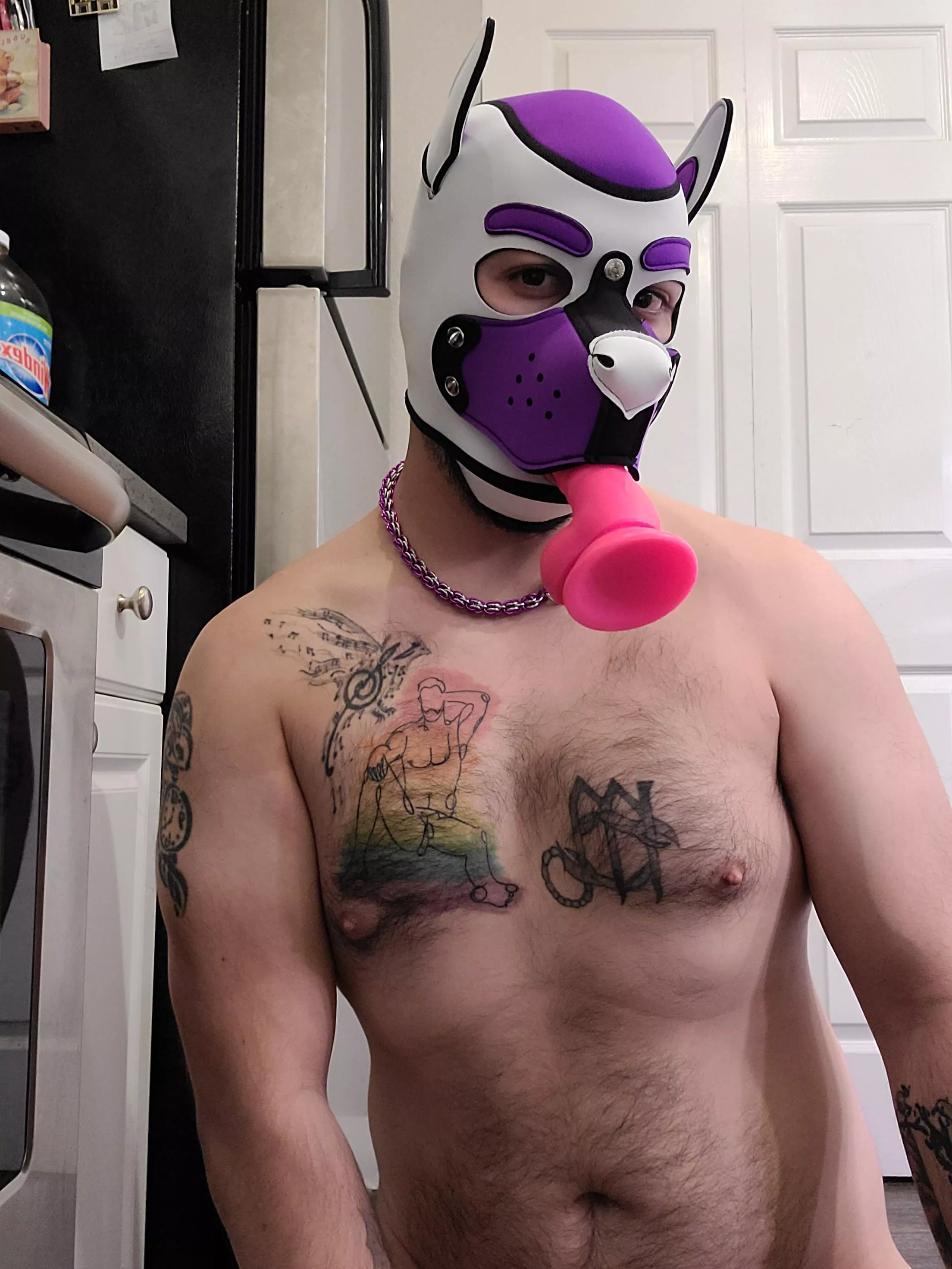 Pup needs a bone  posted by the-beta-king