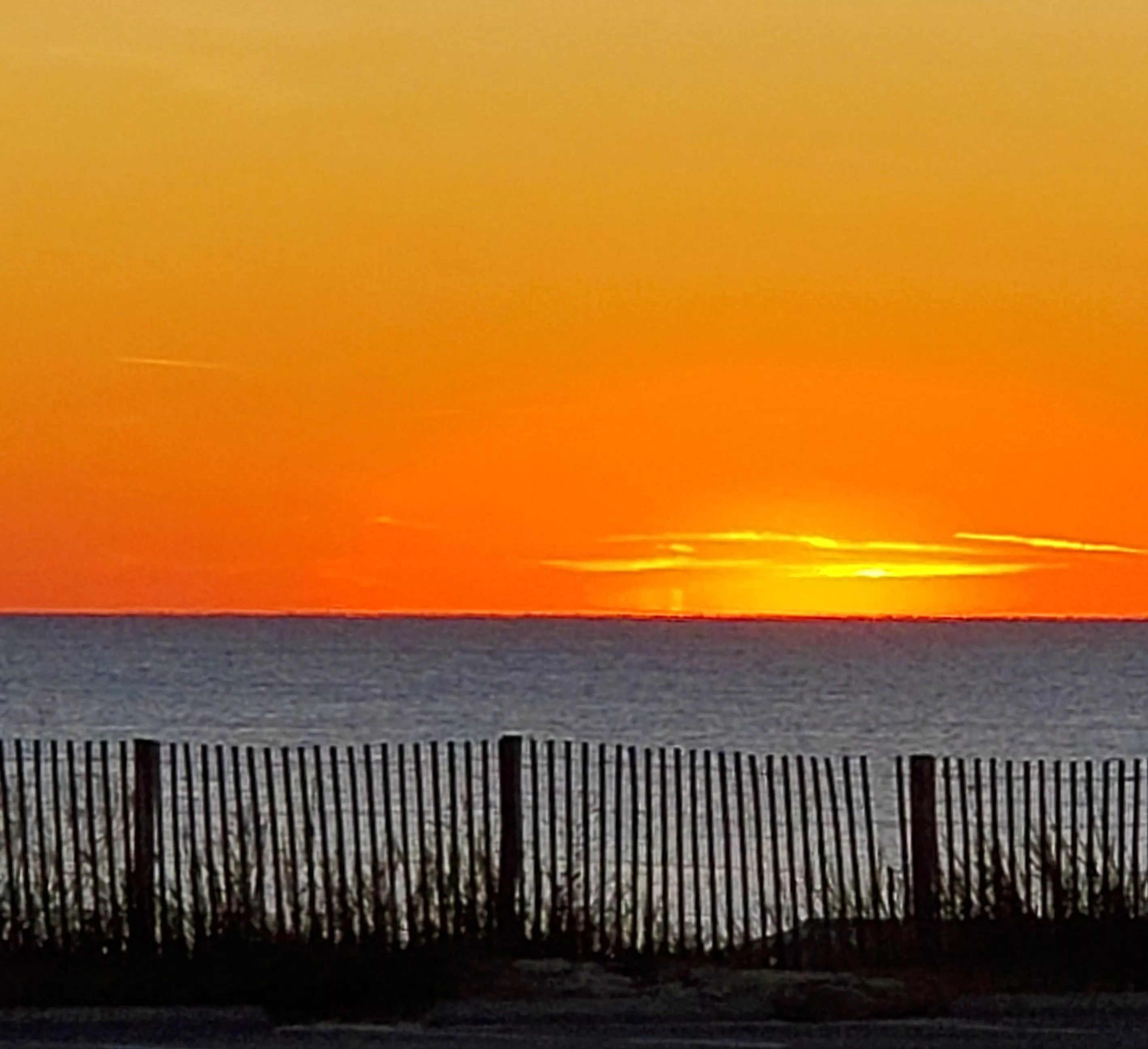 Something Orange posted by Solid-Hovercraft2605