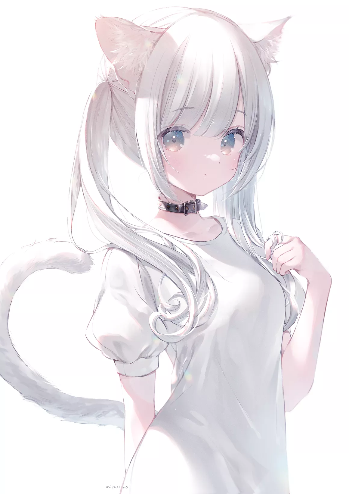 White haired cat [Miyashiro] posted by Arcaeca2