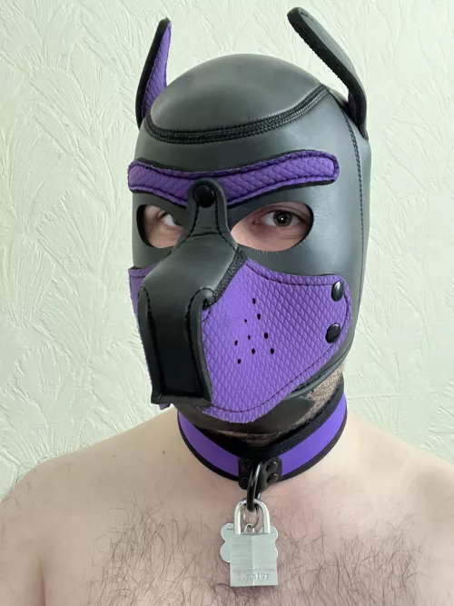 Wruff! New lock! 🔒🐶⛓️ by pupzesty