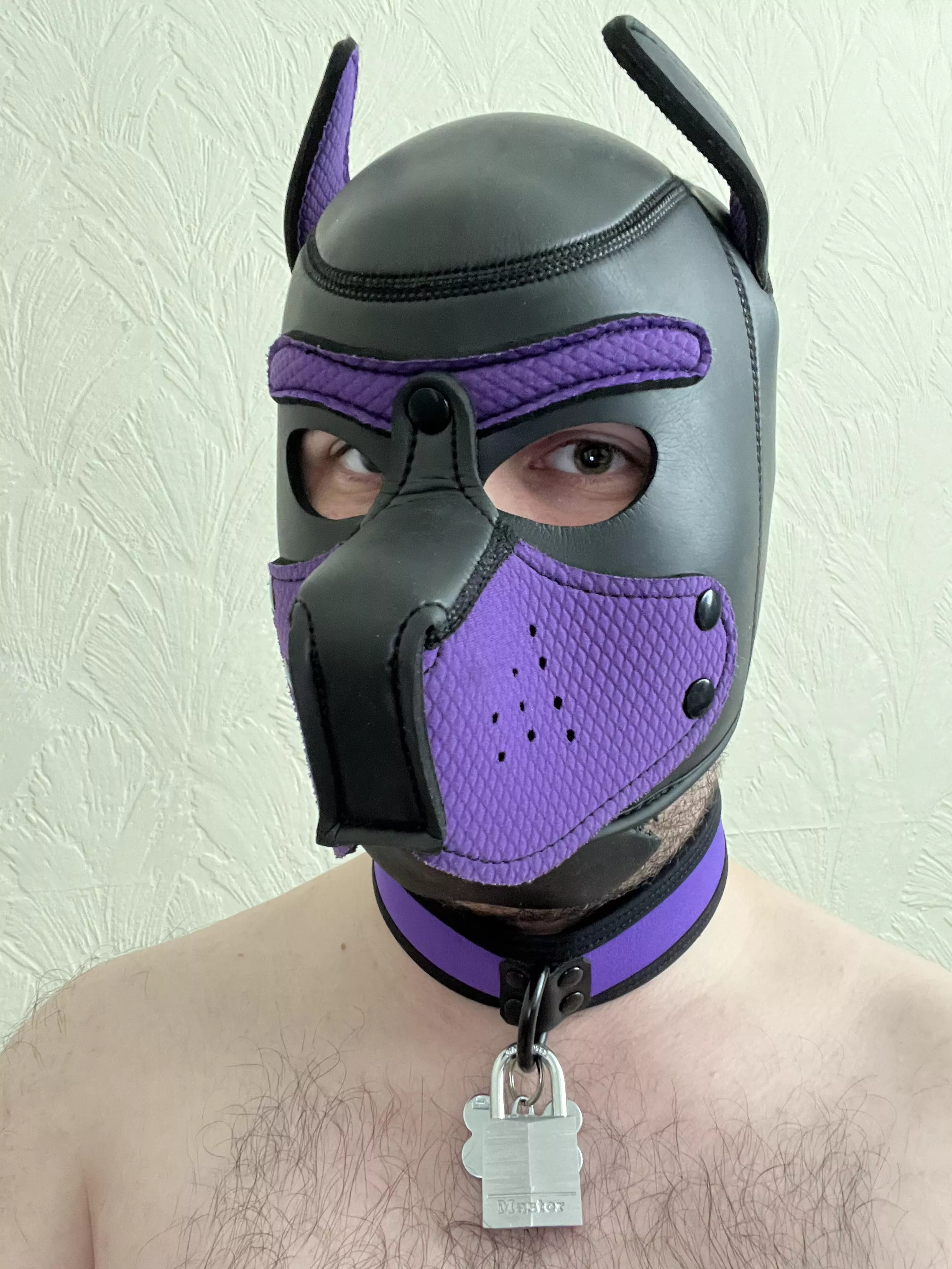Wruff! New lock! 🔒🐶⛓️ posted by pupzesty
