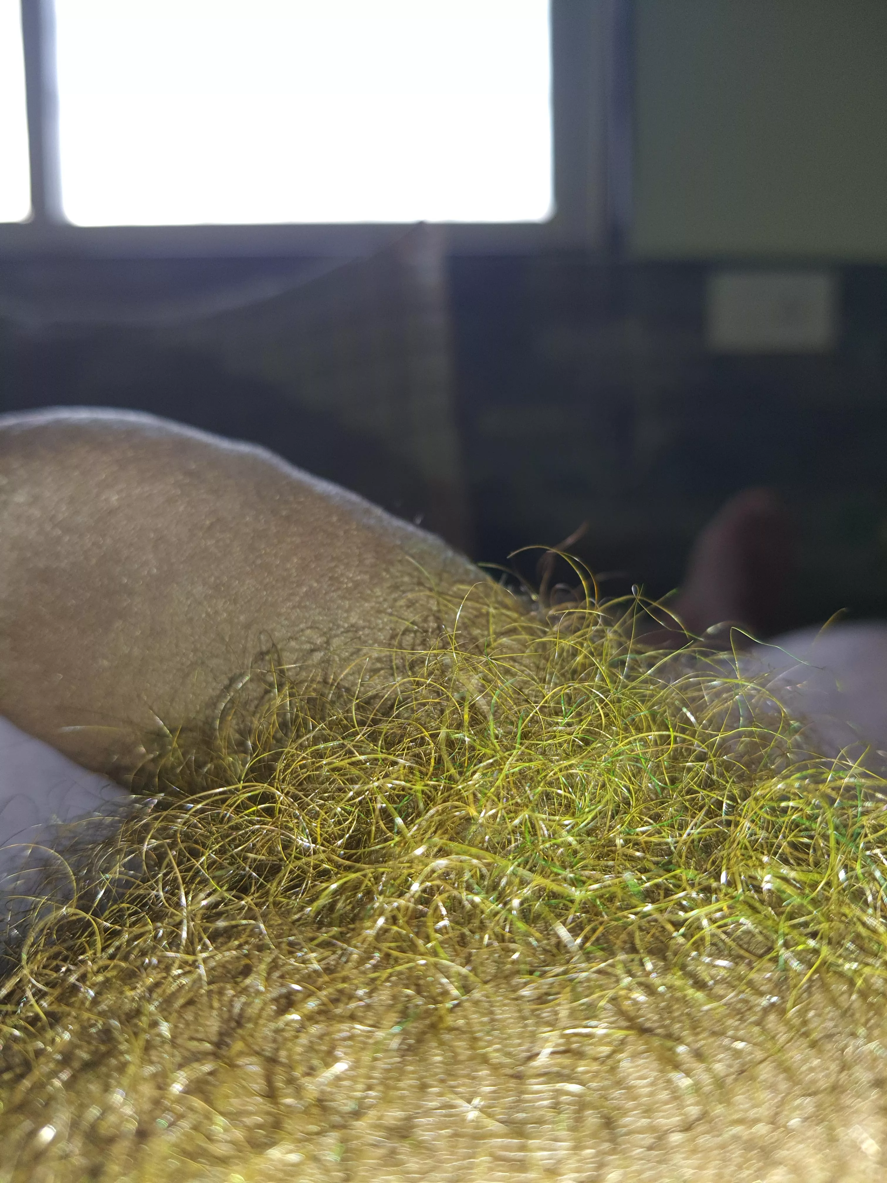 Green on my wizard💚 posted by jbloppo