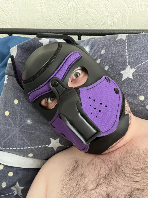 Pets? Awroo? 🐶✨ by pupzesty