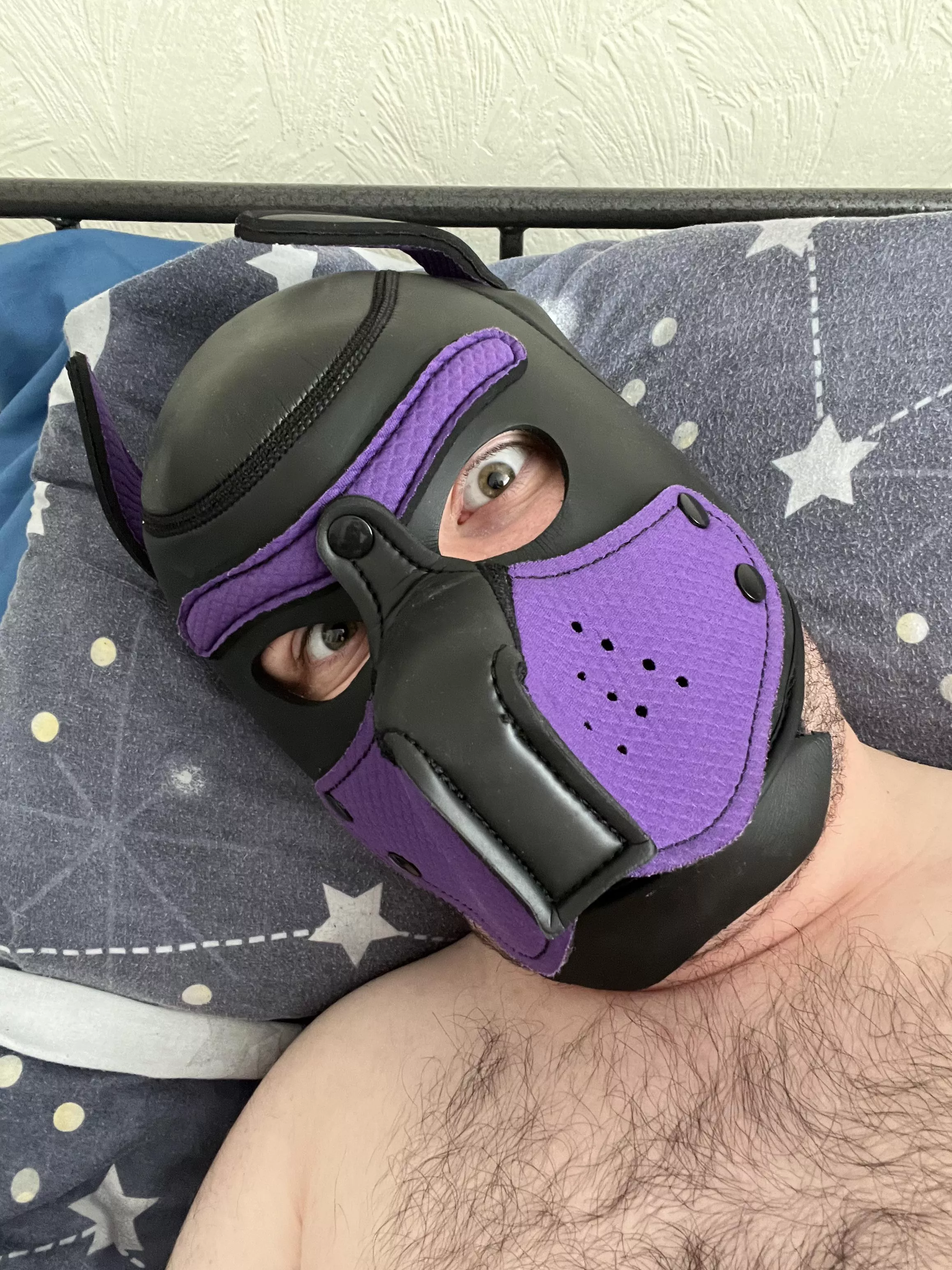 Pets? Awroo? 🐶✨ posted by pupzesty